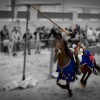 1400858448_Torneo Medieval