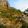 Cabras en La Sierra de Oltá