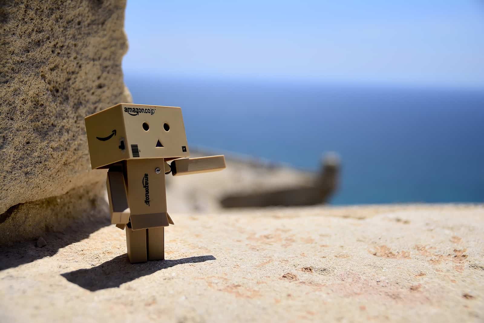 1402847815_Danbo en el Castillo