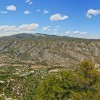 1404921447_Val de gallinera Pano