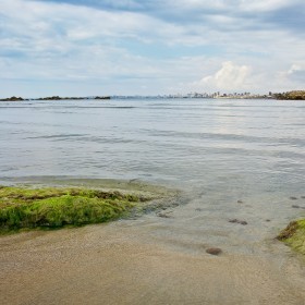 1405511161_Fotomaraton El Campello-0014