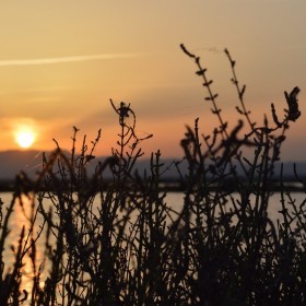 1405696576_Posta de sol a les Salines de Santa Pola