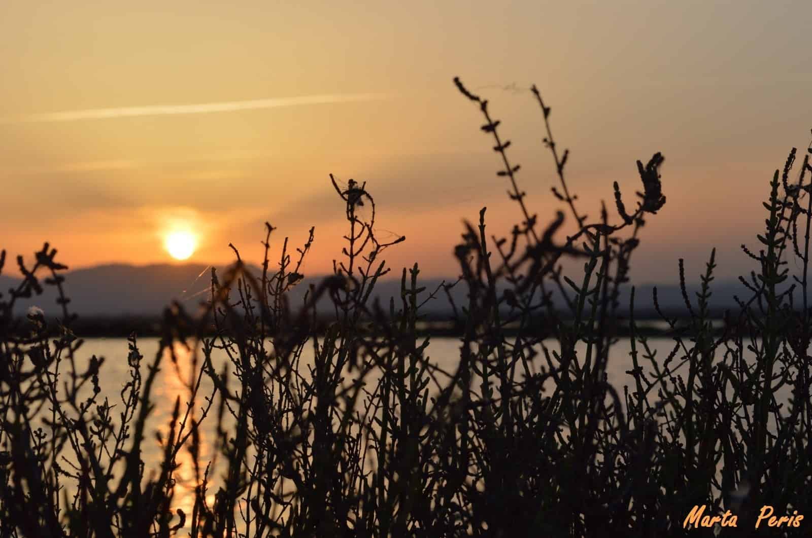 1405696576_Posta de sol a les Salines de Santa Pola