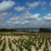 1406034999_Panoramica Parque Natural de Las Salinas de La Mata (Pedro Nogueroles)