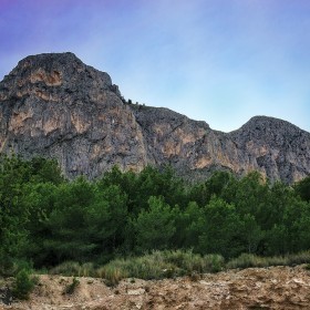 El león dormido