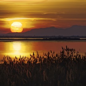 Parque natural de Salines