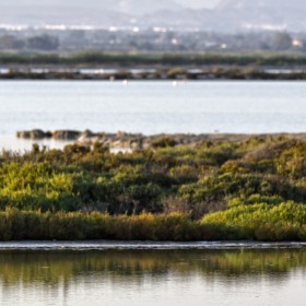 1406482013_ La Cigüeñuela salinas santa pola