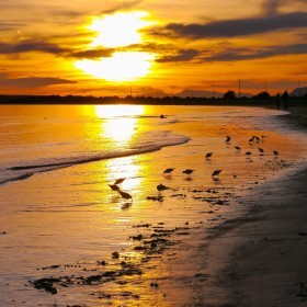 1406661982_santapola atardecer