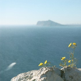 1406756033_peñon ifac concurso alicante natural IMG_2804-001e