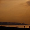 1410085519_IMG_6623_ali