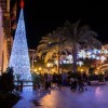 1418415217_Navidad en Elche