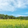 1429466234_DSC_7415