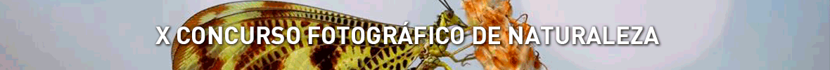 BANNER-CINTA
