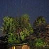 nocturna en el barranco de los molinos de ibi