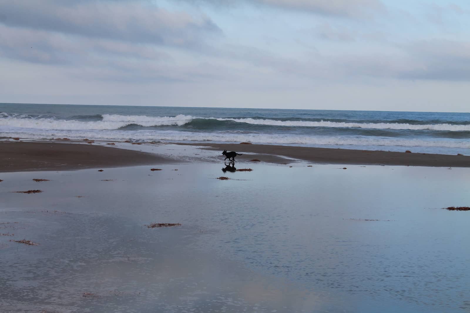 1440947655_Paseo playa (5)