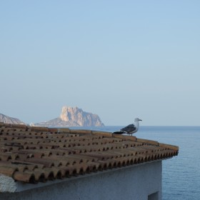 1440974066_Altea