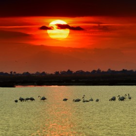 1472169646_atardecer en salinas santa pola