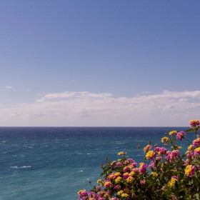 1495789886_flores frente al mar