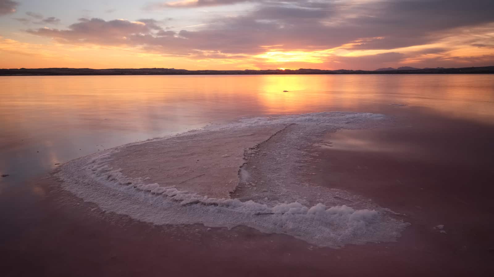 1501784292_salinas_torrevieja_2