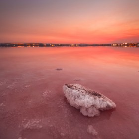 1502290578_salinas de torrevieja 4 reducida