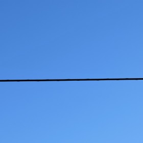 1502970467_pajaroencable