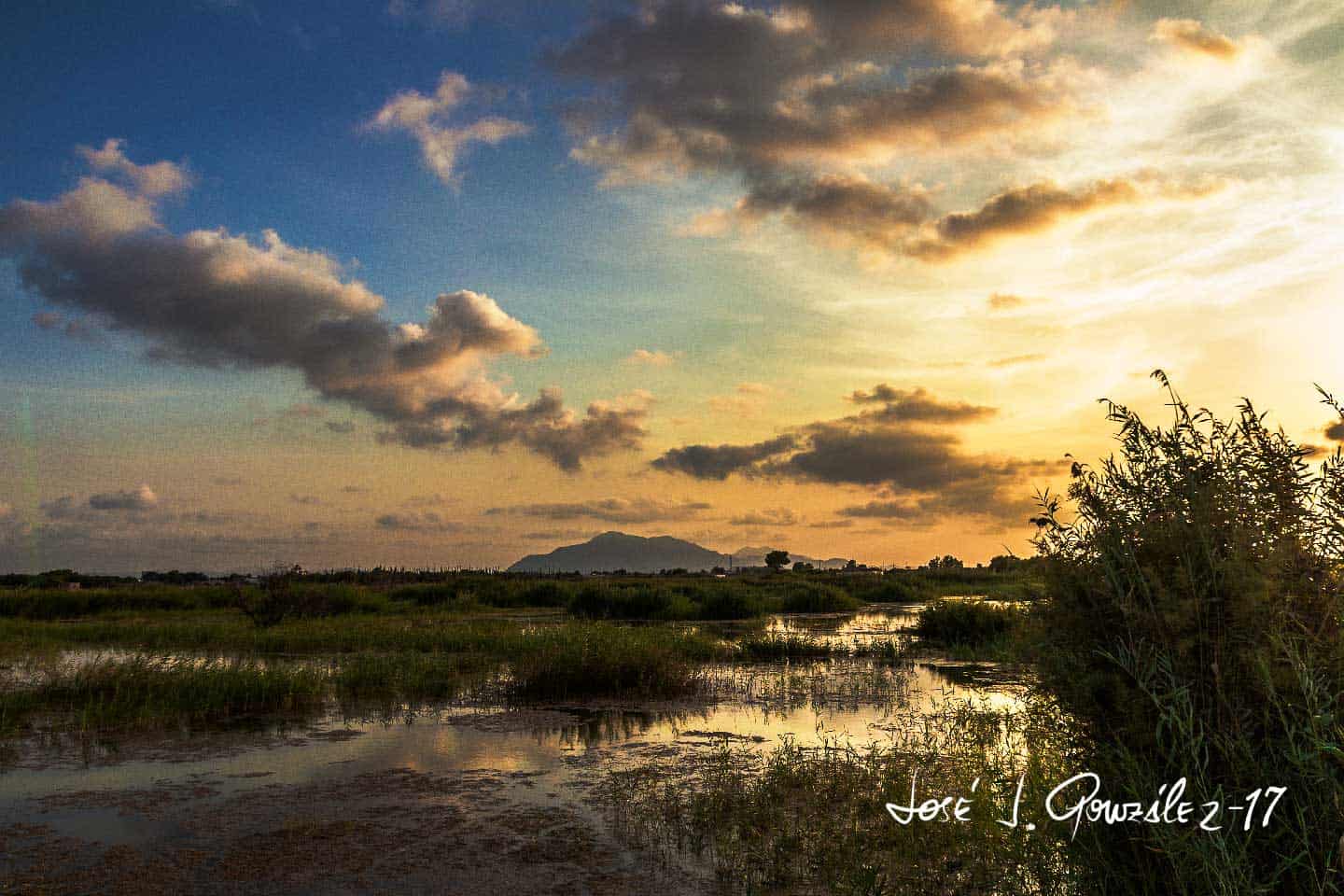 1503268500_atardecer-en-el-hondo-1