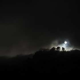 1503587432_NIEBLA 01