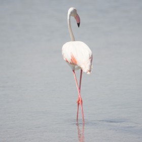 1503689699_DSC08168
