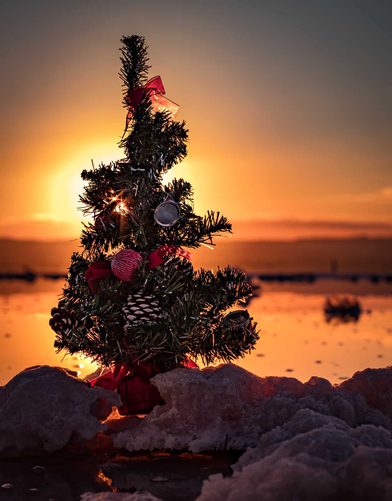 1515418200_Navidades saladas en Torrevieja