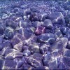 1526216918_piedras