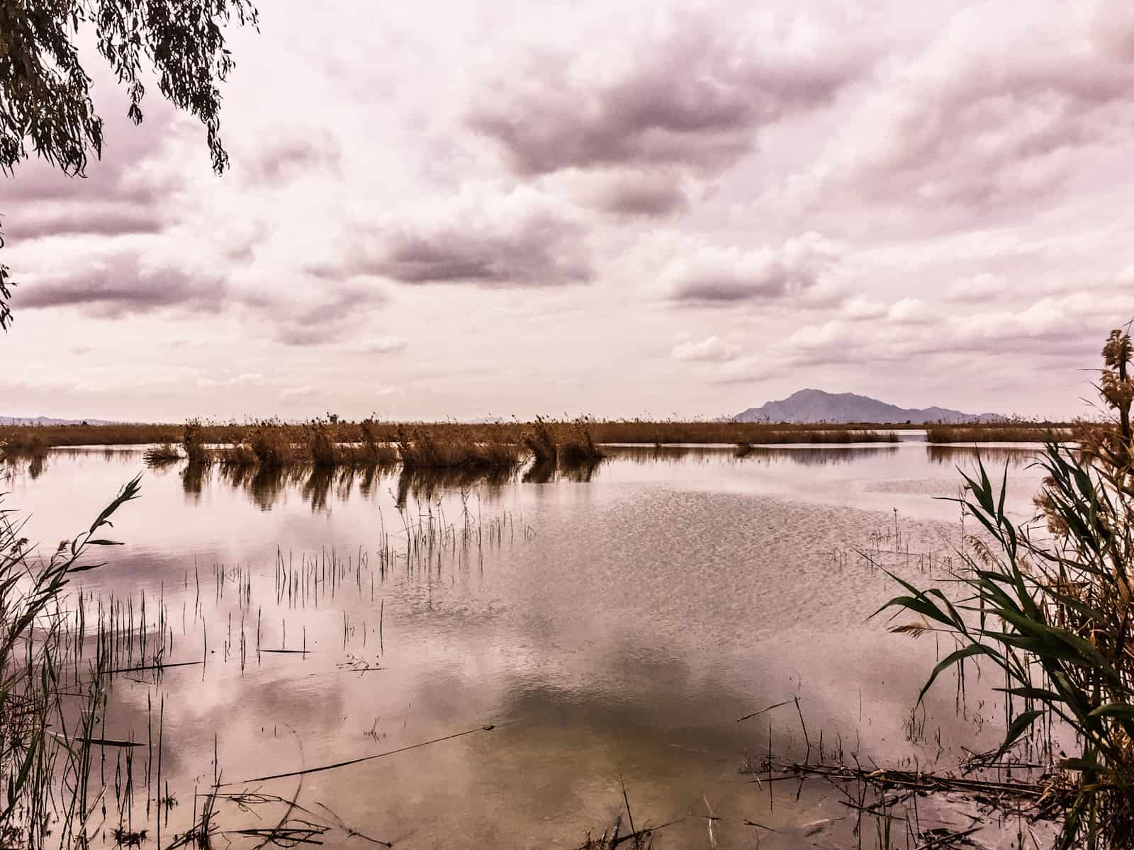 1527799936_Nubes en El Hondo