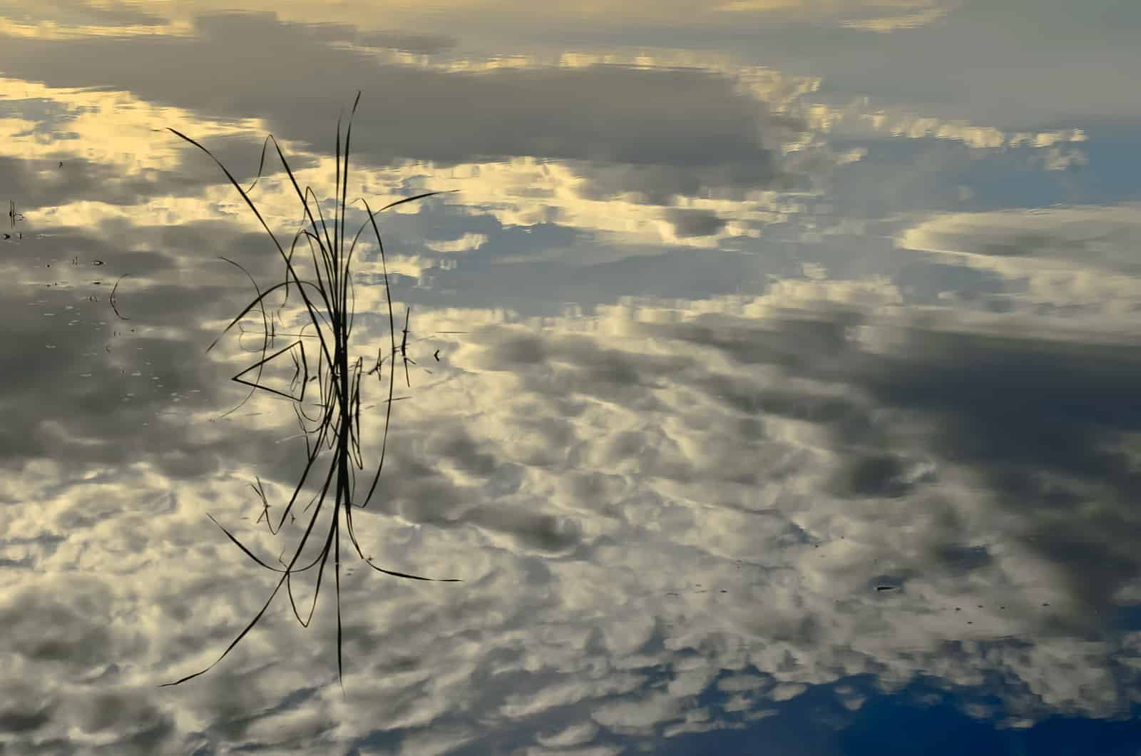 1527800601_Cielo en el agua