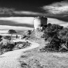 Música (abrir en nueva pestaña) / Music (Open link in new tab): Miriam Stockley - Wishing On A Star.

Una vista de la Torre de la Malladeta de Villajoyosa (Alicante), en un intemporal evocador paisaje que diríase propio de los cuentos de fantasía, como aquel relatado en la mini serie  "El Décimo Reino", que tan virtuosamente combinaba la fantasía, la comedia, el romance y el drama, sin exceso alguno de violencia y que, en su día, tanto disfruté viéndolo con mis hijas :-)

Mi página de Facebook

-English:

A view of the Malladeta Tower in Villajoyosa (Alicante), highlighting in a timeless evocative  landscape that looks like it was taken out of a fantasy fairy tale, such as that recounted in the mini series "The Tenth Kingdom", a wonderful combination of fantasy, comedy, romance and drama, but not too much violence,   the one that I could enjoy watching with my daughters some years ago :-)

My Facebook Page.

Imagen protegida por Plaghunter / Image protected by Plaghunter
© Francisco García Ríos 2018- All Rights Reserved / Reservados todos los derechos.
El contenido de estas imágenes no puede ser copiado, distribuido ni publicado por ningún medio, bien sea electrónico o de cualquier otra naturaleza.
Su utilización en otras páginas web sin el consentimiento expreso del autor está PROHIBIDO y es sancionable por ley.
Cualquiera que quiera usar mis fotografías debe ponerse en contacto conmigo primero para acordar los términos de uso; así pues, para informarse acerca de copias, licencias, utlilización en blogs o cualquier otro uso, por favor, envíe un mensaje o correo electrónico (recesvintus(at)yahoo.es).
Gracias.

The content of these images cannot be