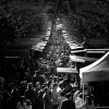 1544303757_DSC_5041-2