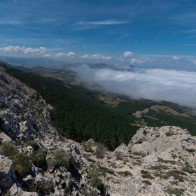 1556721429__DSC5182