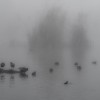 1602608145_Niebla_Clot-1920