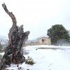 1636131024_-Borrasca de Nieve-