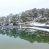 1661192868_PAISAJE INVERNAL