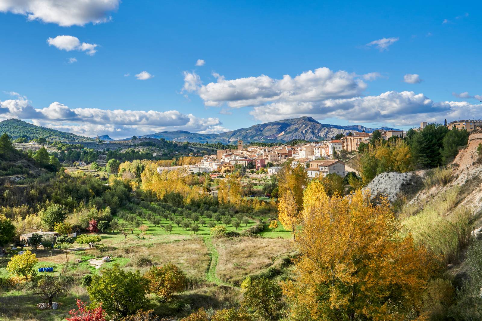 1661182349__DSC4857_3_Otoño-en-Benilloba