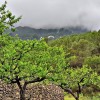 1684680713_Cultivando el Bosque2