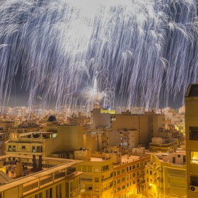 1684776464_Palmera imperial de Elche
