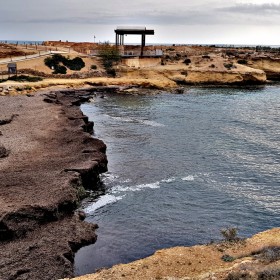 1684777775_Algas de tormenta