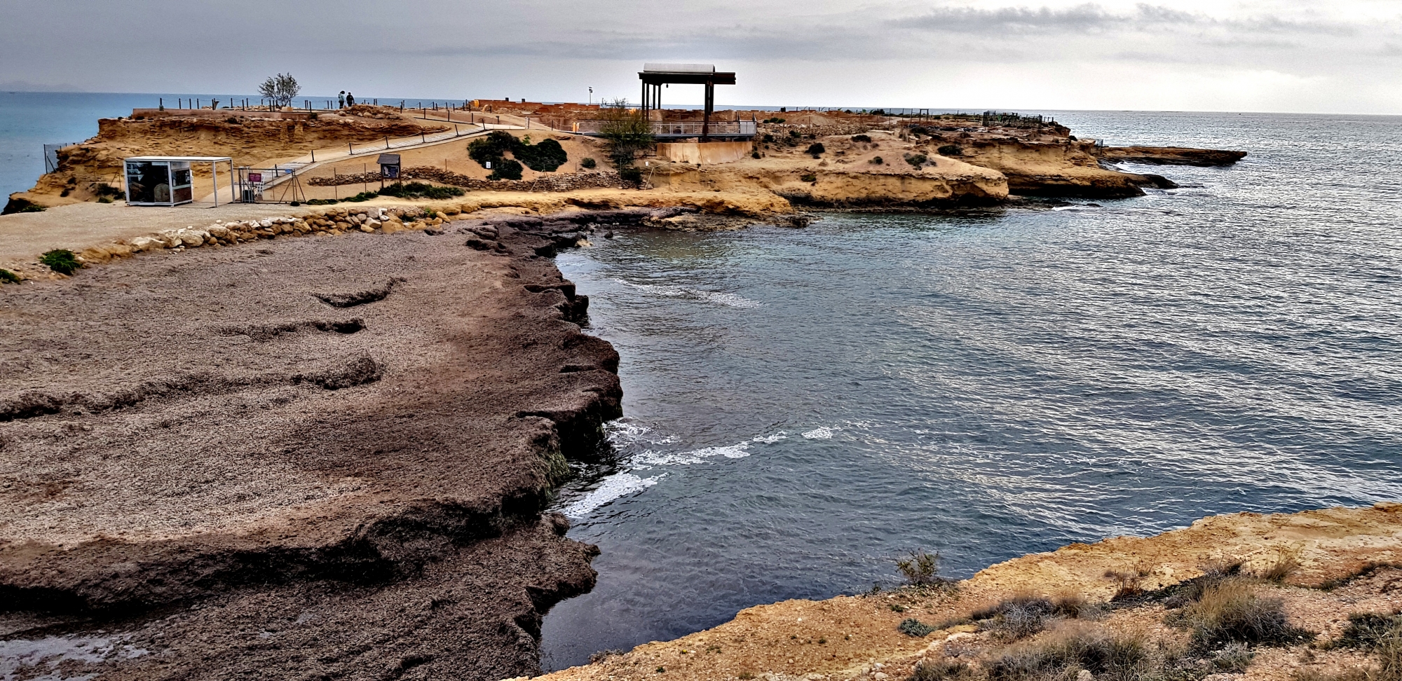 1684777775_Algas de tormenta