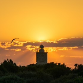 1684870821_Faro de Tabarca