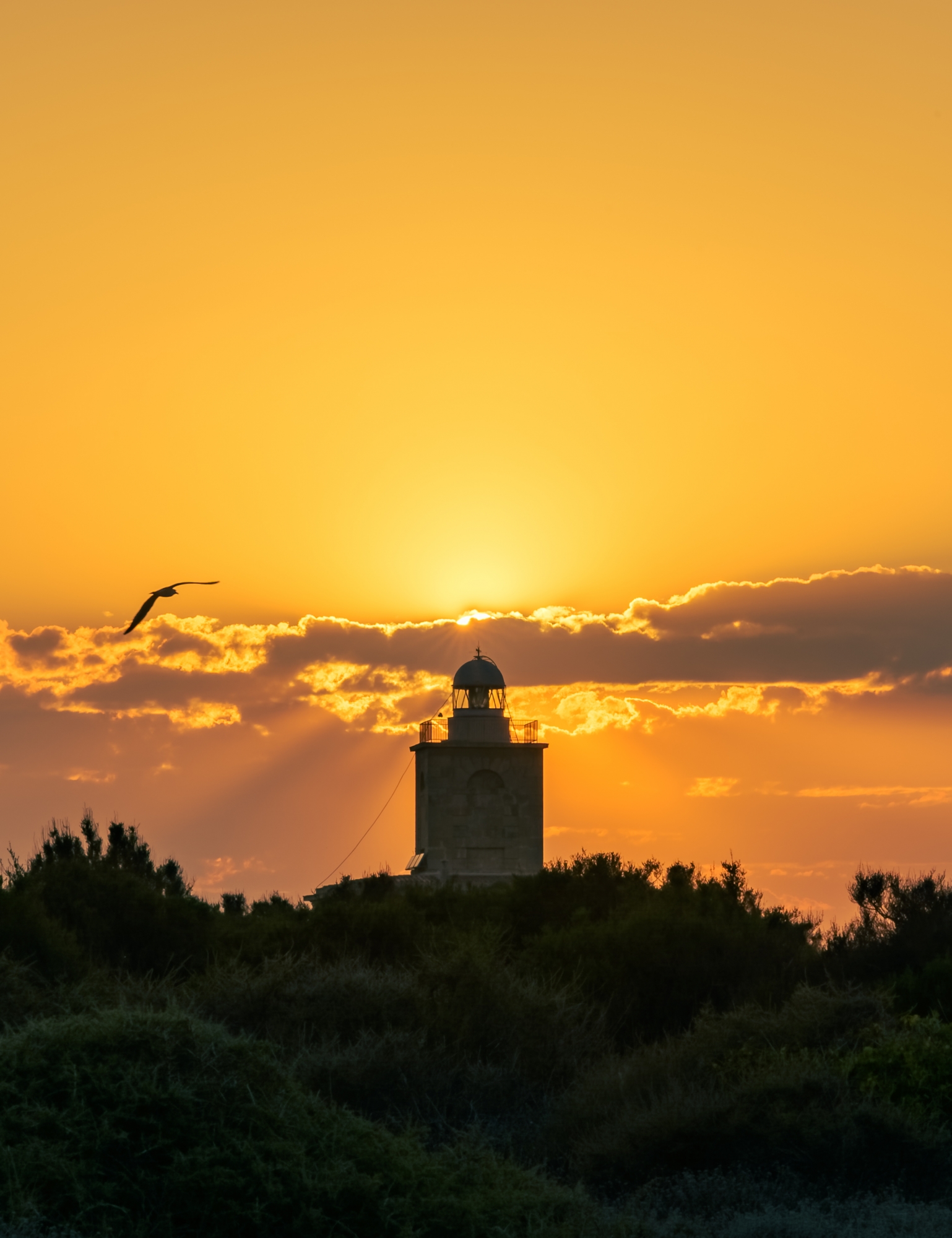 1684870821_Faro de Tabarca