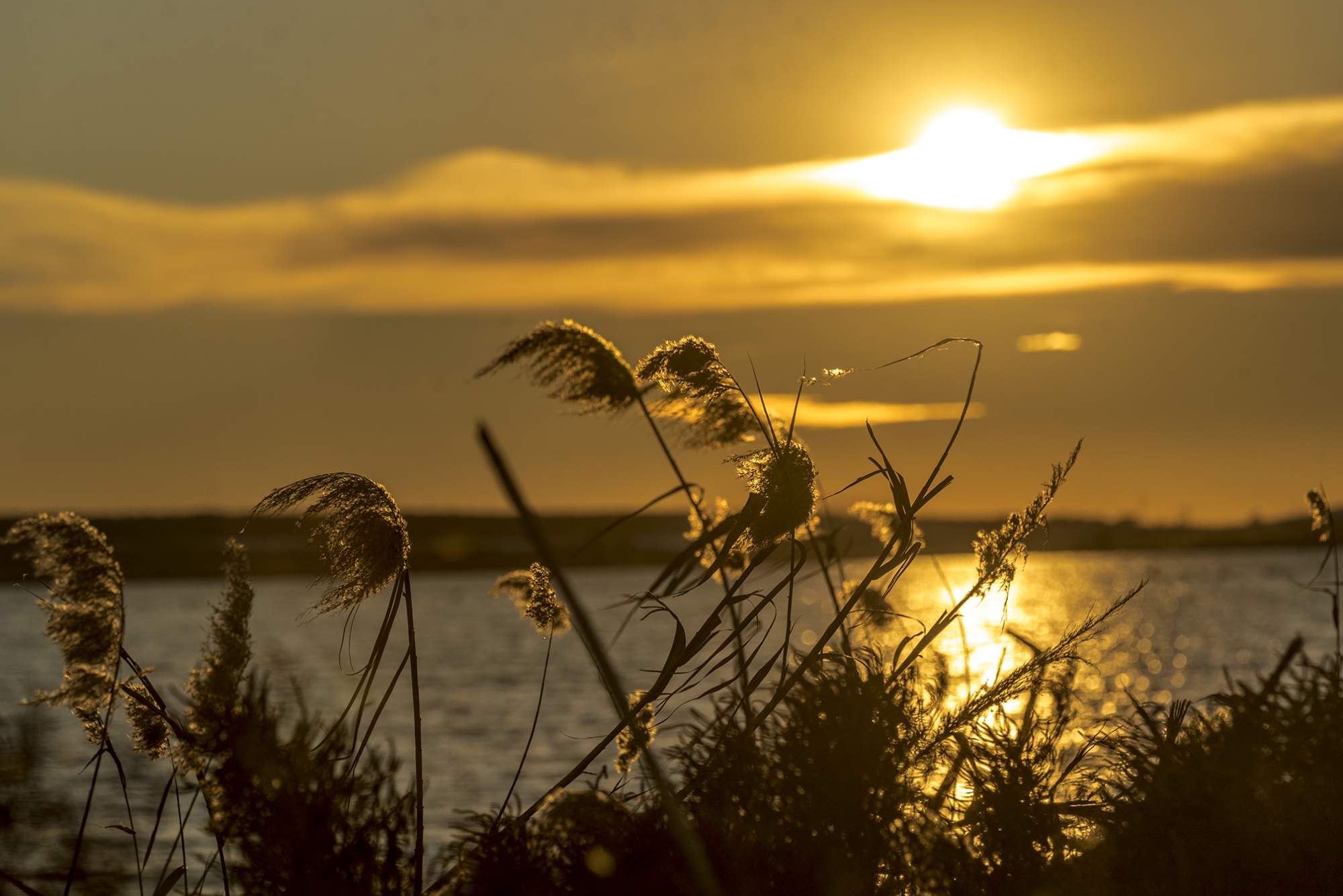 1685299346_atardecer en las salinas de santa pola