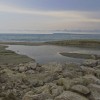 1685304160_La Albufera, después de la tormenta