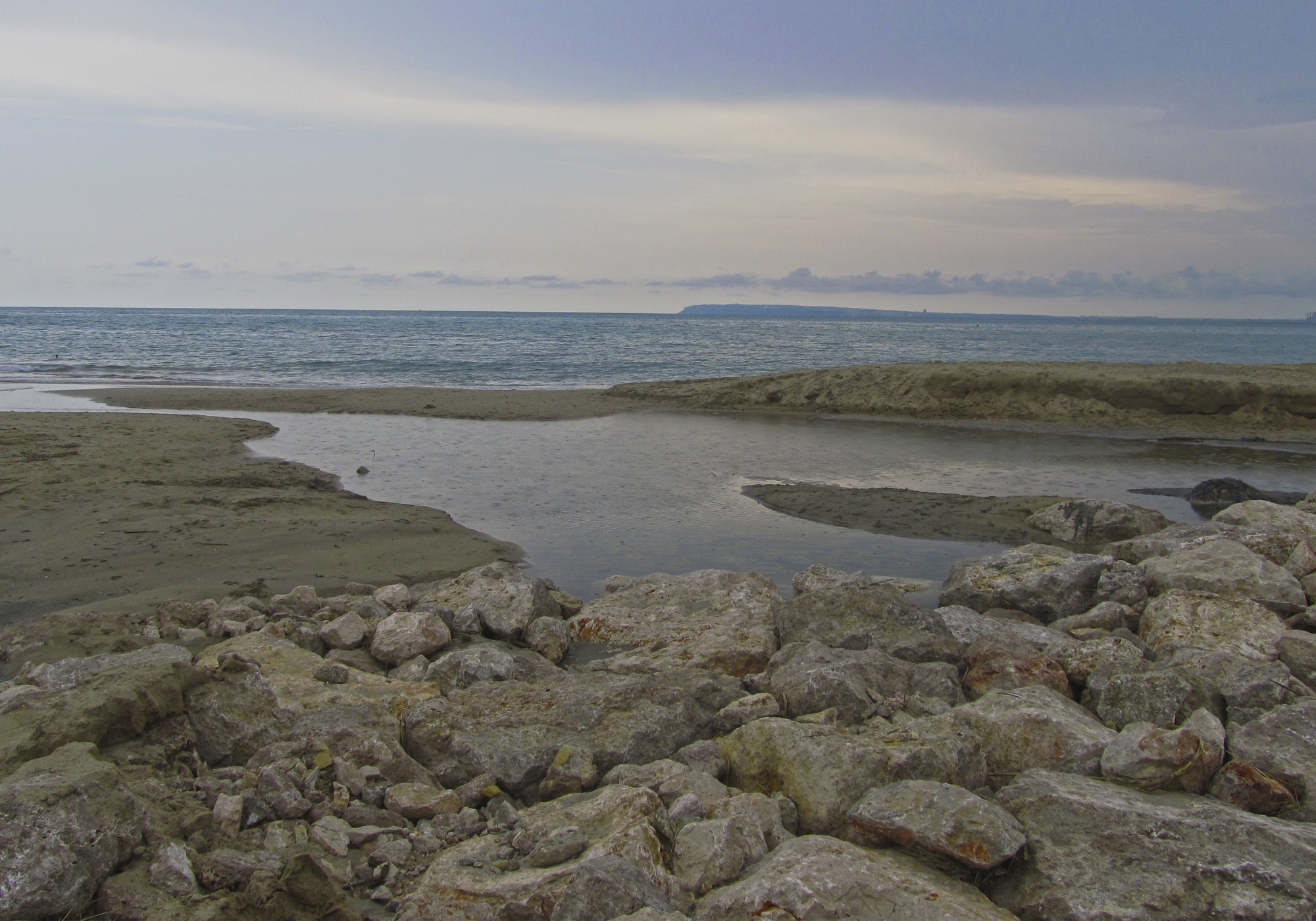 1685304160_La Albufera, después de la tormenta