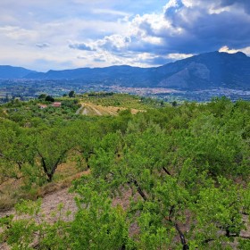 1685306393_Núvols, Montcabrer i ametlers