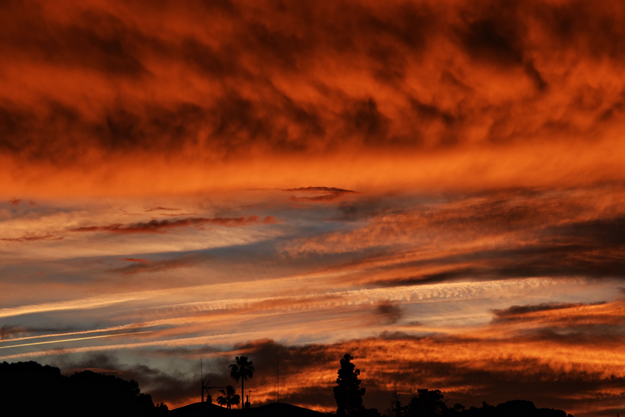 1716559385_DSC_0125